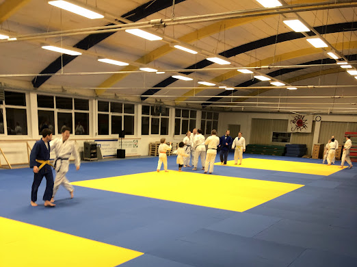 judoloewenhelp1