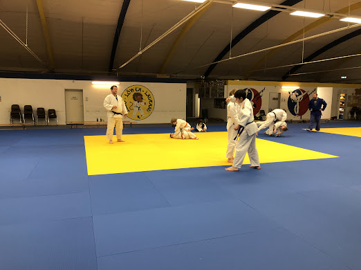 judoloewenhelp2