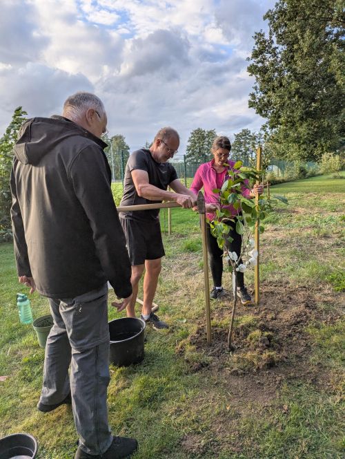 Baumpflanzaktion Badminton im Victoria Sportpark