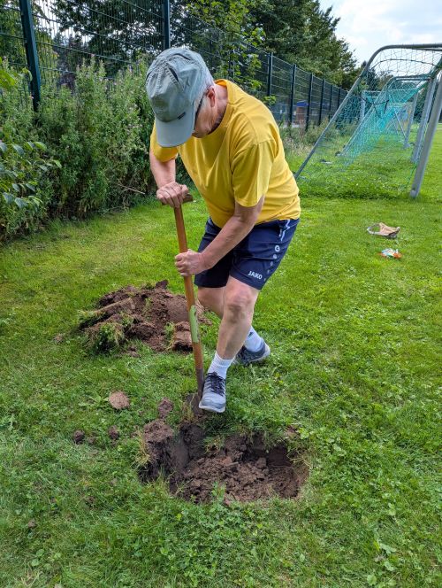 BaumChallenge 2025