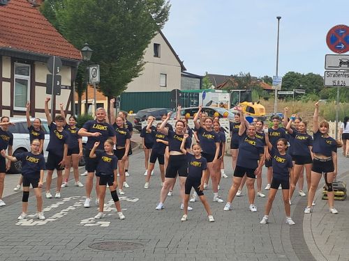 Auftritt Victoria Lions Fleckenfete 2026 (KI generiert)