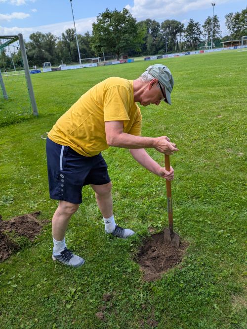 BaumChallenge 2025