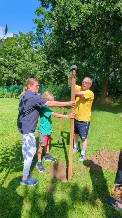 BaumChallenge 2025