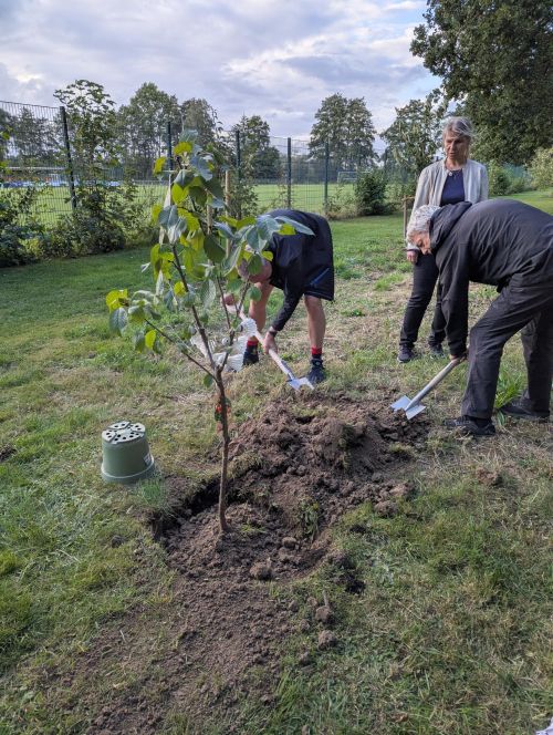 Baumpflanzaktion Badminton im Victoria Sportpark
