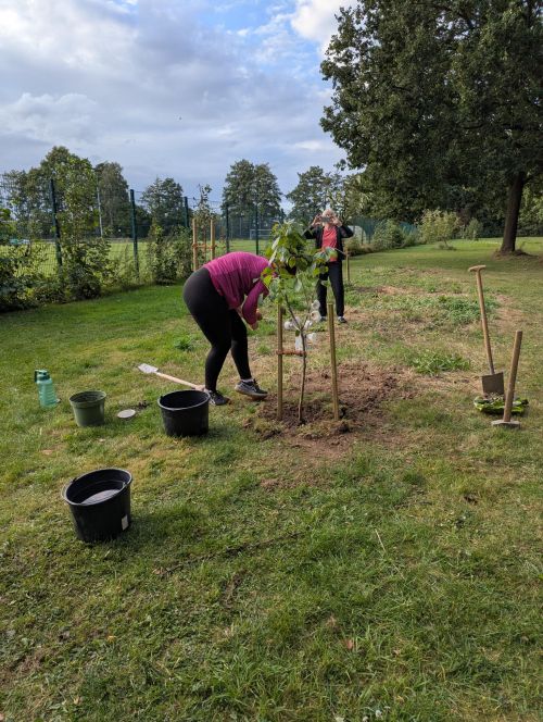 Baumpflanzaktion Badminton im Victoria Sportpark