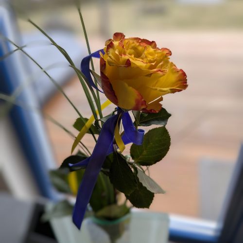 Jahreshauptversammlung Victoria Lauenau 2026