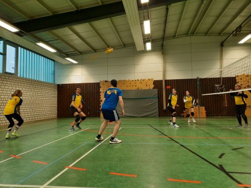 Volleyballhobbies beim Mandarinenturnier SSV Kirchhorst