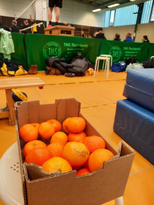 Volleyballhobbies beim Mandarinenturnier SSV Kirchhorst