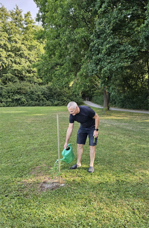 Baumchallenge Kümmerer Marone
